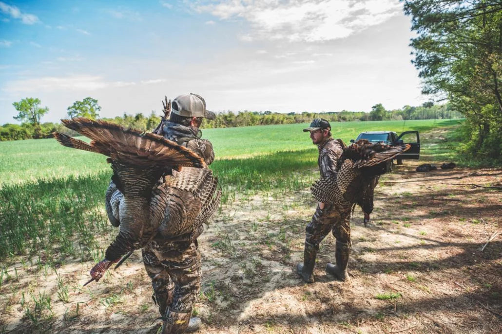 Best Turkey Blind Setups for This Spring
