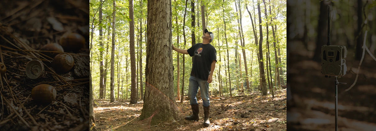 exmark-knowing-the-best-trees-for-deer-season-with-michael-waddell-bone-collector