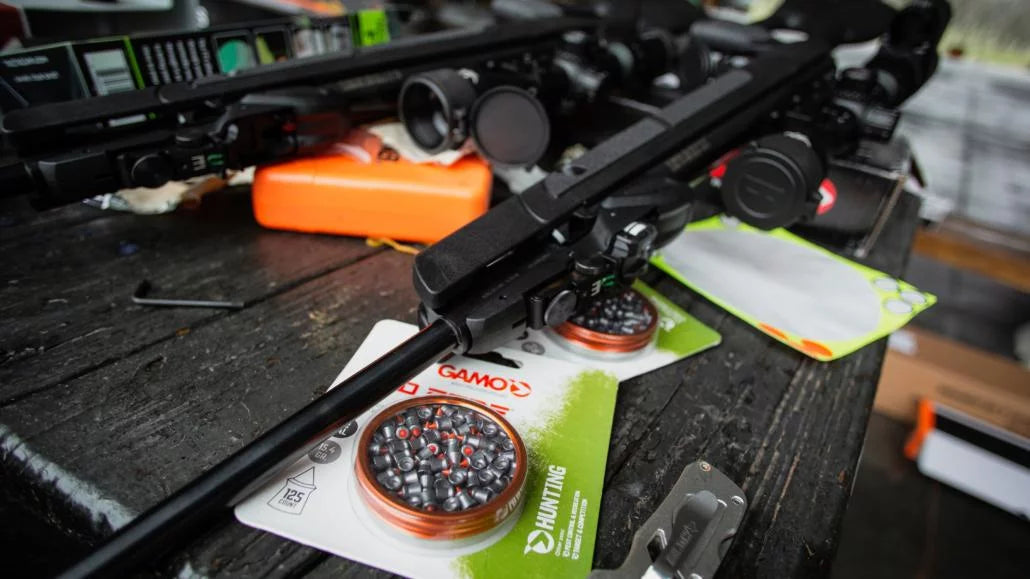 Best Airgun Caliber for Squirrel Hunting | .177 vs .22