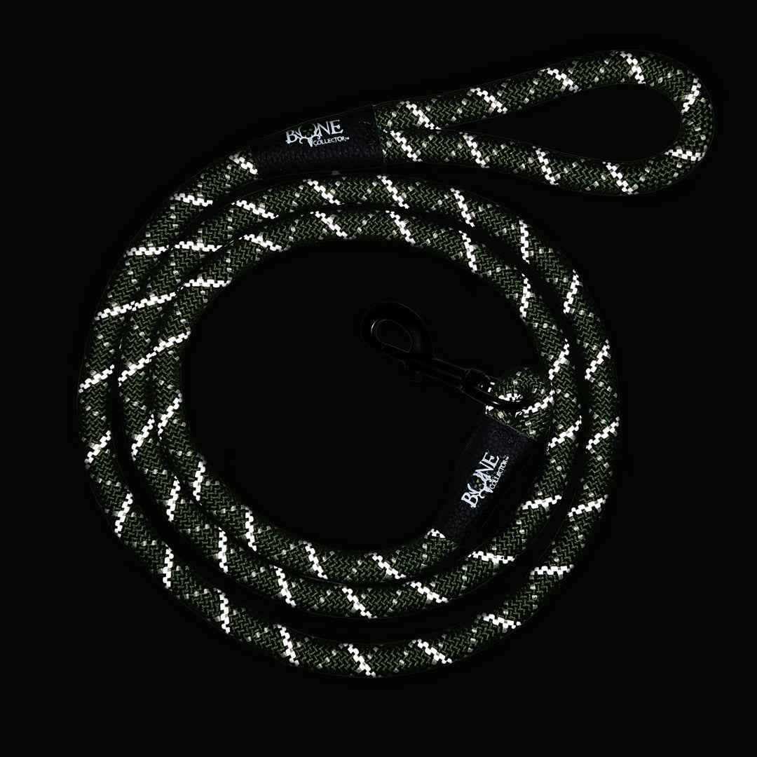 Bone Collector Reflective Braided Leash