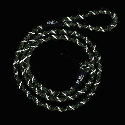 Bone Collector Reflective Braided Leash