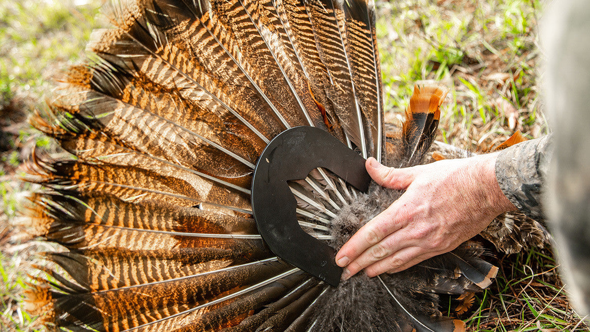 Turkey Tool - 2-Pack