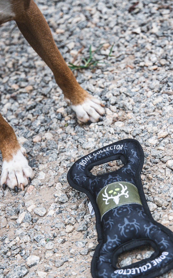Bone Collector Pull Toy