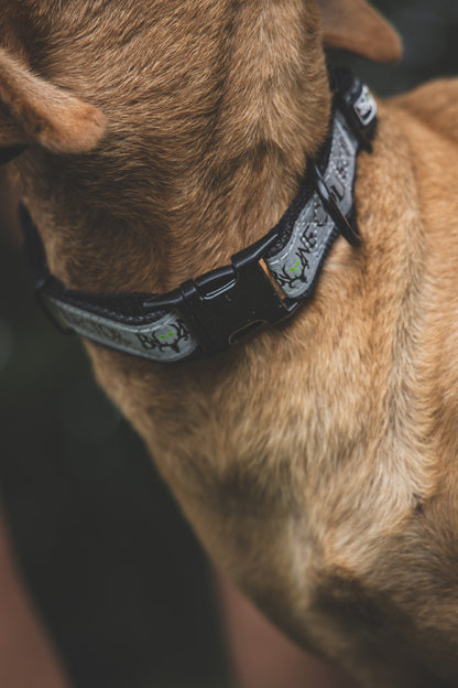 Bone Collector Reflective Pet Collar