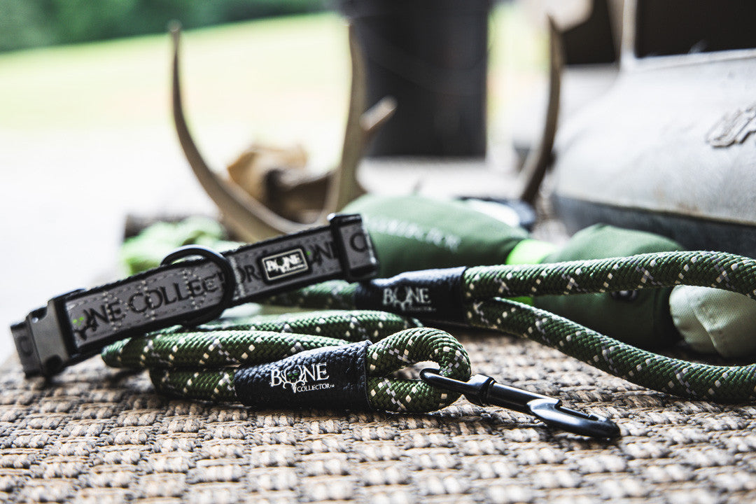 Bone Collector Reflective Braided Leash