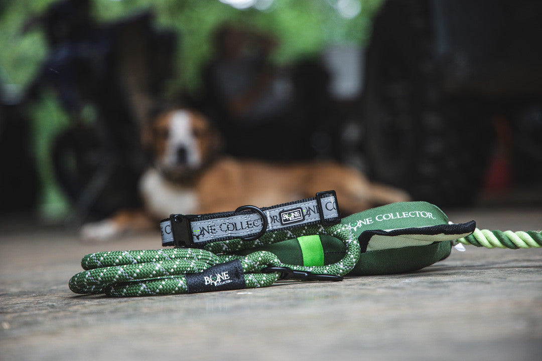 Bone Collector Reflective Braided Leash