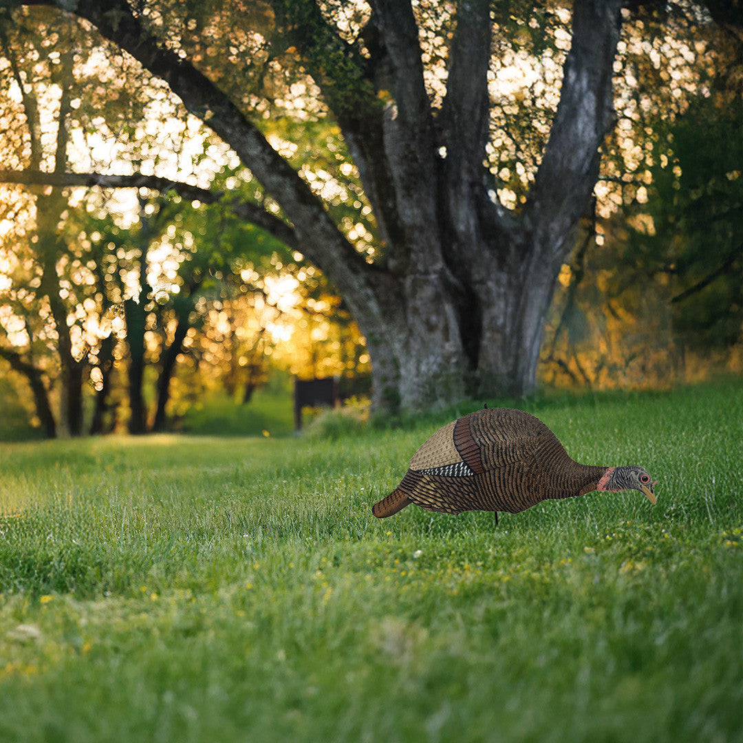 Feeding Hen Decoy