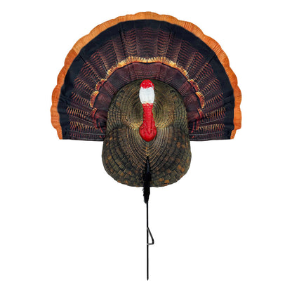 Quarter Body Tom Decoy