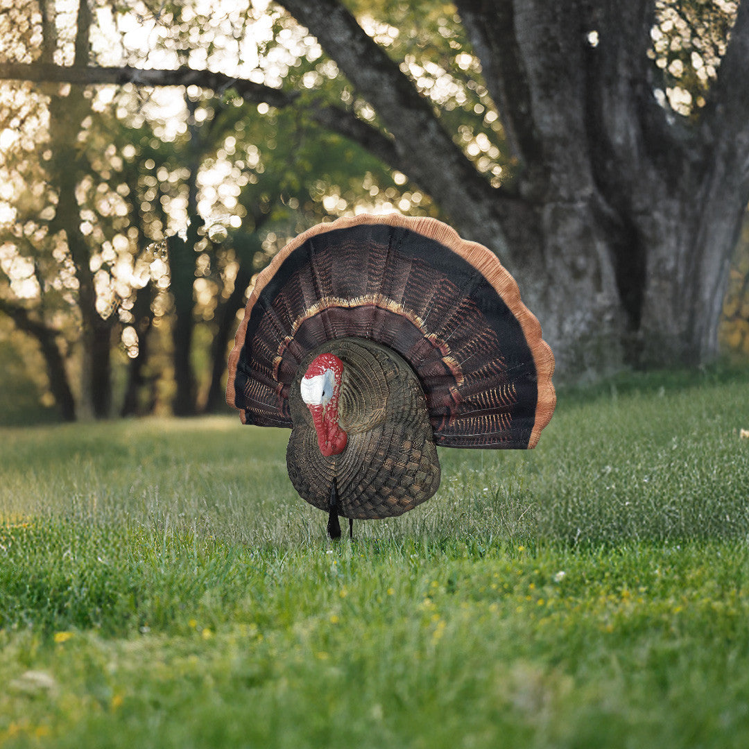 Quarter Body Tom Decoy