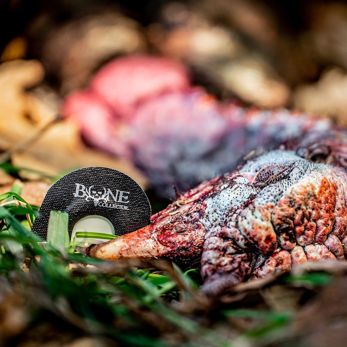 bone collector ridge beater mouth call turkey calls made in the usa