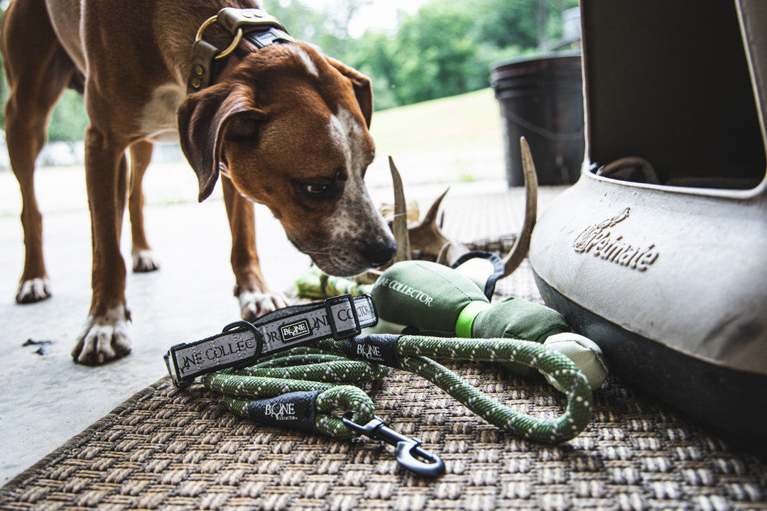 Bone Collector Duck Sling Toy